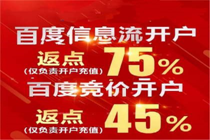 百度推广收费策略：案例分析及优化建议